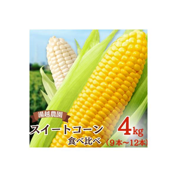 ■お礼品詳細　・配送種別：冷蔵便■お申し込み・配送・その他　・発送時期：2026-06-01〜2026-06-30（お届け時間帯指定可）　・申込受付期間：〜2026-06-10　・配達外のエリア：離島　・寄付証明書の送付時期目安：申込完了日...