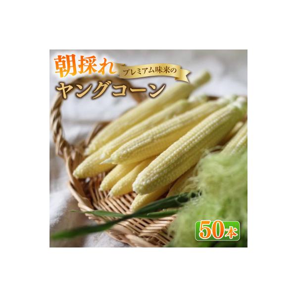 ■お礼品詳細　・配送種別：冷蔵便■お申し込み・配送・その他　・発送時期：2026年6月から順次発送　・申込受付期間：〜2026-06-15　・配達外のエリア：離島、北海道、沖縄県　・寄付証明書の送付時期目安：入金確認後1か月以内　・提供元：...