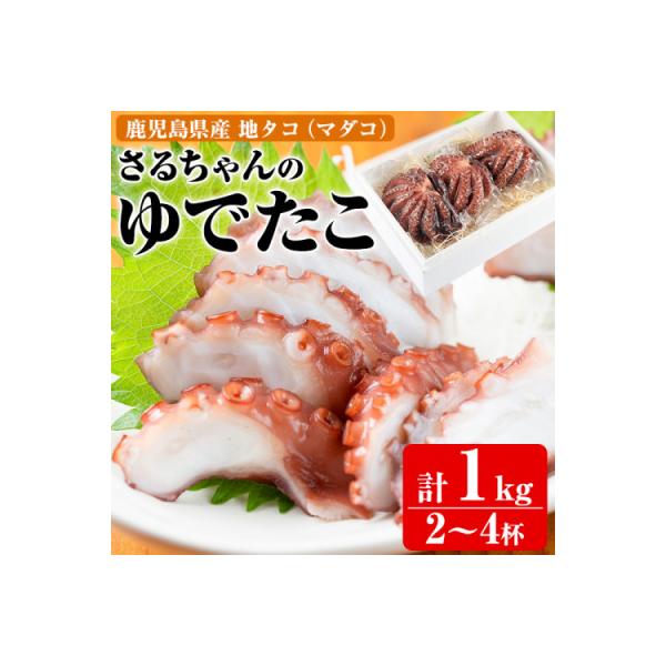 ふるさと納税 阿久根市 鹿児島県産地 たこのゆでたこ 計1kg(2〜4杯