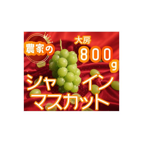 ■お礼品詳細　・配送種別：冷蔵便■お申し込み・配送・その他　・発送時期：2026-09-01〜2026-10-31　・申込受付期間：〜2026-03-31　・配達外のエリア：離島　・寄付証明書の送付時期目安：申込完了日から２週間程度　・提供...