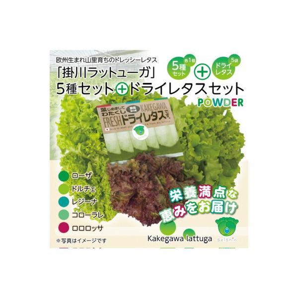 ■お礼品詳細　・配送種別：冷蔵便■お申し込み・配送・その他　・発送時期：2025-12-16〜2027-05-31（お届け時間帯指定可）　・申込受付期間：〜2027-05-28　・配達外のエリア：離島、北海道、四国、九州　・寄付証明書の送付...