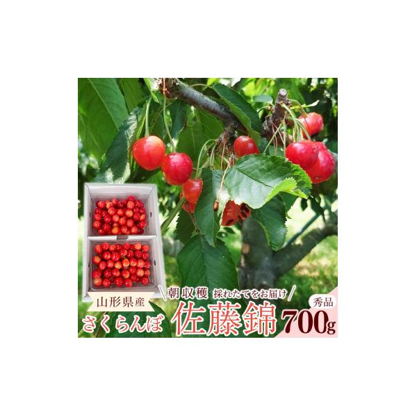 ■お礼品詳細　・配送種別：冷蔵便■お申し込み・配送・その他　・発送時期：2026-06-01〜2026-06-30（お届け時間帯指定可）　・申込受付期間：〜2026-05-20　・配達外のエリア：離島、沖縄県　・寄付証明書の送付時期目安：申...