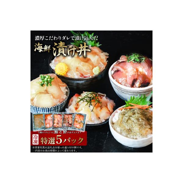 ふるさと納税 下妻市 海鮮漬け丼5種セット 100g入り×5パック