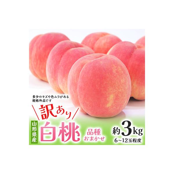 ■お礼品詳細　・配送種別：冷蔵便■お申し込み・配送・その他　・発送時期：2026-08-01〜2026-10-15（お届け時間帯指定可）　・申込受付期間：〜2026-07-31　・配達外のエリア：離島、沖縄県　・寄付証明書の送付時期目安：申...