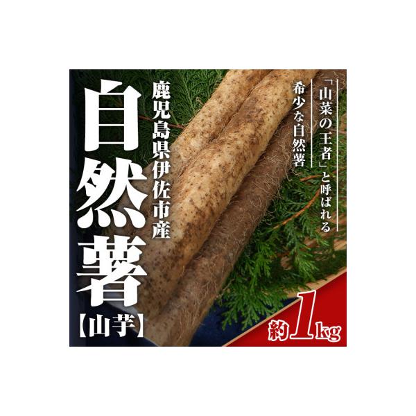 ■お礼品詳細　・配送種別：冷蔵便■お申し込み・配送・その他　・発送時期：2026-01-05〜2026-03-31（お届け時間帯指定可）　・申込受付期間：〜2026-02-28　・配達外のエリア：離島　・寄付証明書の送付時期目安：申込完了日...