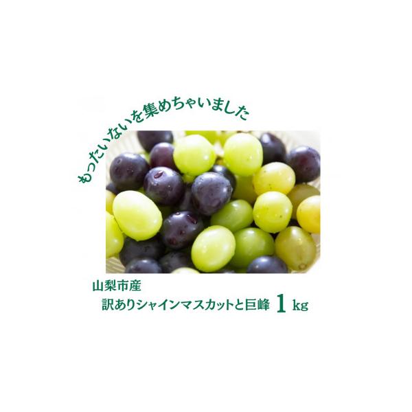 ■お礼品詳細　・配送種別：冷蔵便■お申し込み・配送・その他　・発送時期：2026-08-20〜2026-10-10（お届け時間帯指定可）　・申込受付期間：〜2026-09-30　・配達外のエリア：離島、沖縄県　・寄付証明書の送付時期目安：申...