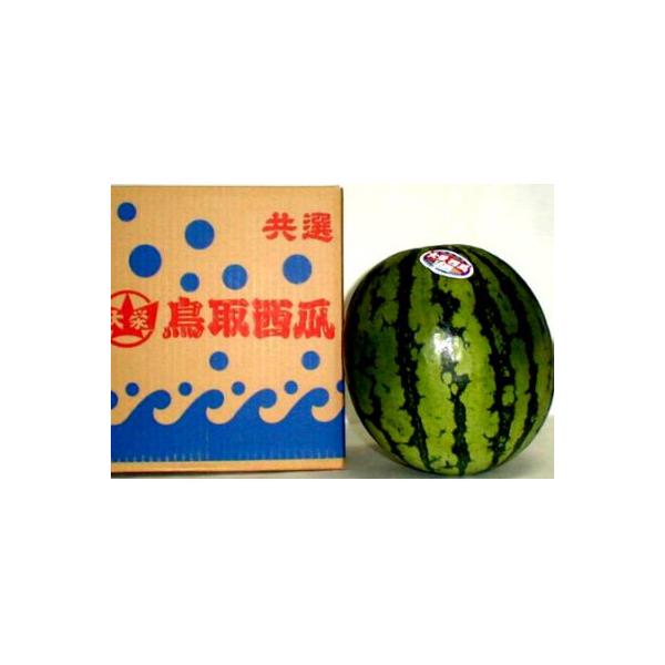 ■お礼品詳細　・配送種別：通常■お申し込み・配送・その他　・発送時期：2026-06-20〜2026-07-20（お届け時間帯指定可）　・申込受付期間：〜2026-06-13　・配達外のエリア：離島、北海道、沖縄県　・寄付証明書の送付時期目...