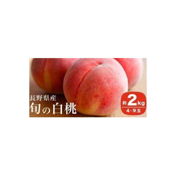 ■お礼品詳細　・配送種別：通常■お申し込み・配送・その他　・発送時期：2026/07/10〜2026/09/10（お届け時間帯指定可）　・申込受付期間：2026/01/10〜2026/09/02　・配達外のエリア：離島　・寄付証明書の送付時...