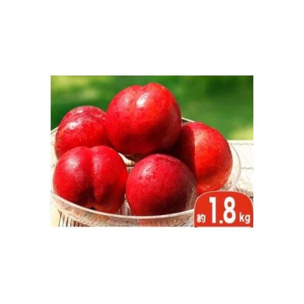 ■お礼品詳細　・配送種別：冷蔵便■お申し込み・配送・その他　・発送時期：2026/07/10〜2026/09/10（お届け時間帯指定可）　・申込受付期間：2026/01/10〜2026/08/20　・配達外のエリア：離島　・寄付証明書の送付...