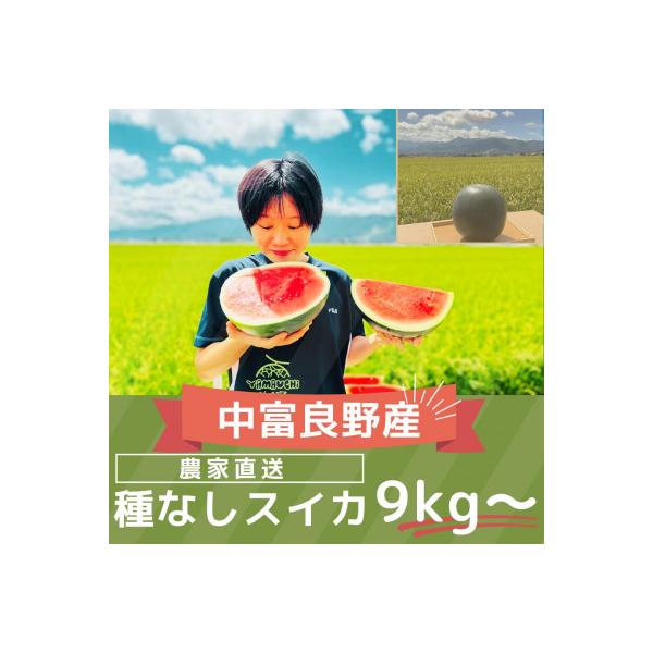 ■お礼品詳細　・配送種別：通常■お申し込み・配送・その他　・発送時期：2026-07-26〜2026-08-30（お届け時間帯指定可）　・申込受付期間：〜2026-07-19　・配達外のエリア：　・寄付証明書の送付時期目安：申込完了日から1...