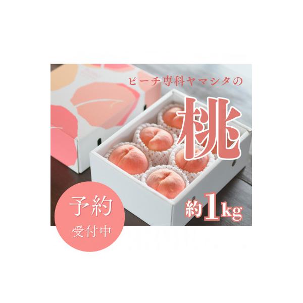 ■お礼品詳細　・配送種別：冷蔵便■お申し込み・配送・その他　・発送時期：2026-07-01〜2026-09-30（お届け時間帯指定可）　・申込受付期間：〜2026-04-30　・配達外のエリア：離島　・寄付証明書の送付時期目安：申込完了日...