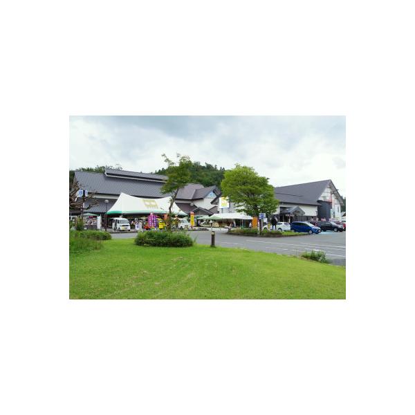 ふるさと納税 飯豊町 【山形県飯豊町】めざみの里観光物産館 レストラン利用券 3,000円分