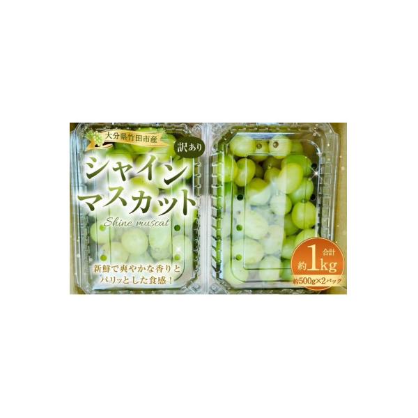 ■お礼品詳細　・配送種別：冷蔵便■お申し込み・配送・その他　・発送時期：2026-09-13〜2026-10-30（お届け時間帯指定可）　・申込受付期間：2026/01/31〜2026-10-24　・配達外のエリア：離島、沖縄県　・寄付証明...