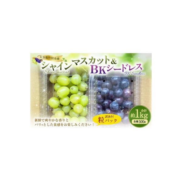 ■お礼品詳細　・配送種別：冷蔵便■お申し込み・配送・その他　・発送時期：2026/10/04〜2026/10/25（お届け時間帯指定可）　・申込受付期間：〜2026/10/11　・配達外のエリア：離島、沖縄県　・寄付証明書の送付時期目安：申...