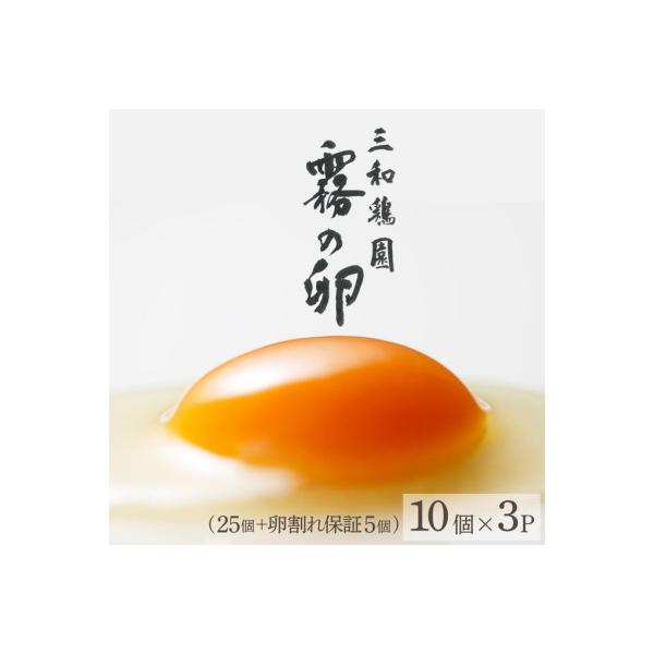 ふるさと納税 亀岡市 新鮮 卵 京都丹波『霧の卵』30個(25個+割れ保証5個)