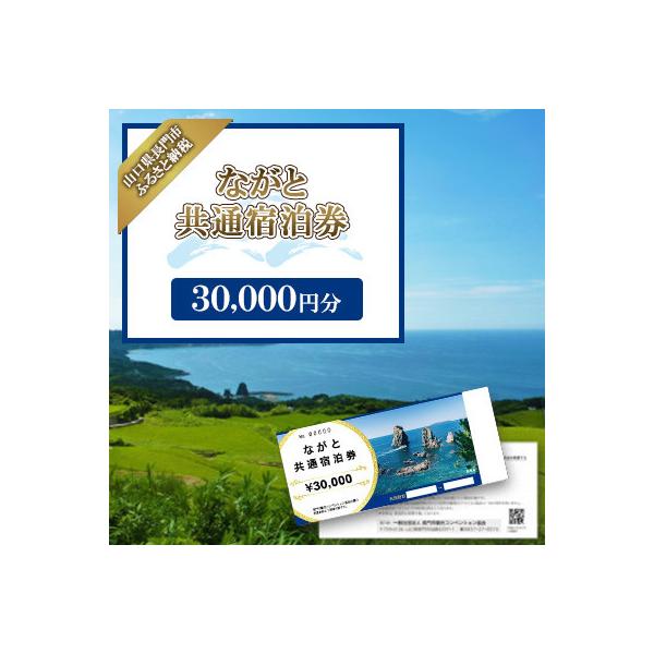ふるさと納税 長門市 【山口県長門市】ながと共通宿泊券 30,000円分