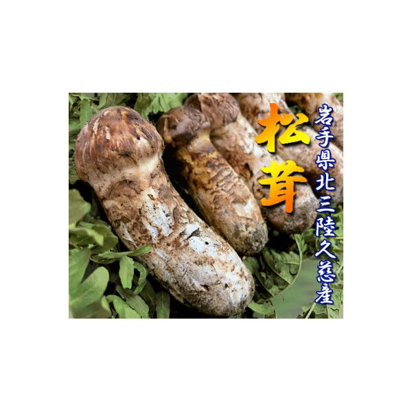 ふるさと納税 久慈市 久慈産天然松茸「特選」400g : Yahoo!ふるさと