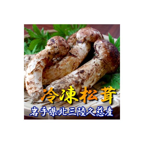 ふるさと納税 久慈市 久慈産【冷凍】天然松茸「訳あり規格外品」100g