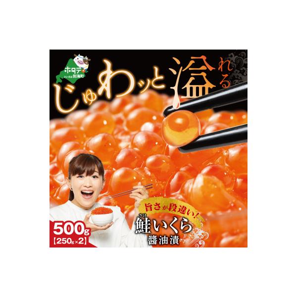 ふるさと納税 別海町 贅沢いくら丼 6杯分 鮭いくら醤油漬け500g(250g×2) 小分けパック冷凍 別海町ふるさと納税