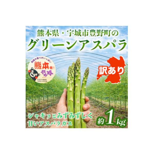 宇城市 【訳あり】 熊本 宇城市産 アスパラガス S〜L 約1kg【日本フルーツ株式会社】(宇城市)