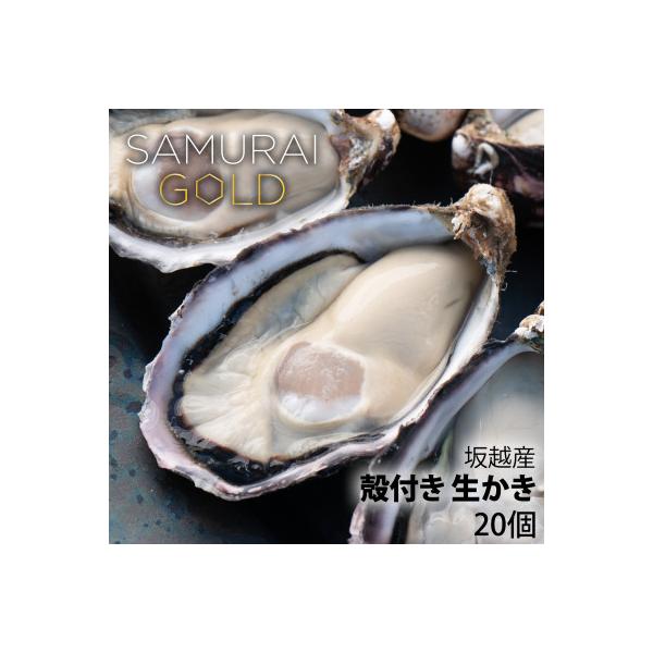 ふるさと納税 赤穂市 サムライゴールド　坂越産　殻付き生牡蠣　20個