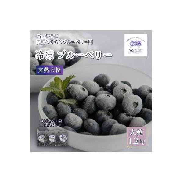 ふるさと納税 遠野市 冷凍ブルーベリー 大粒 1.2kg (400gパック3個入り) 門前おくでらブルーベリー園