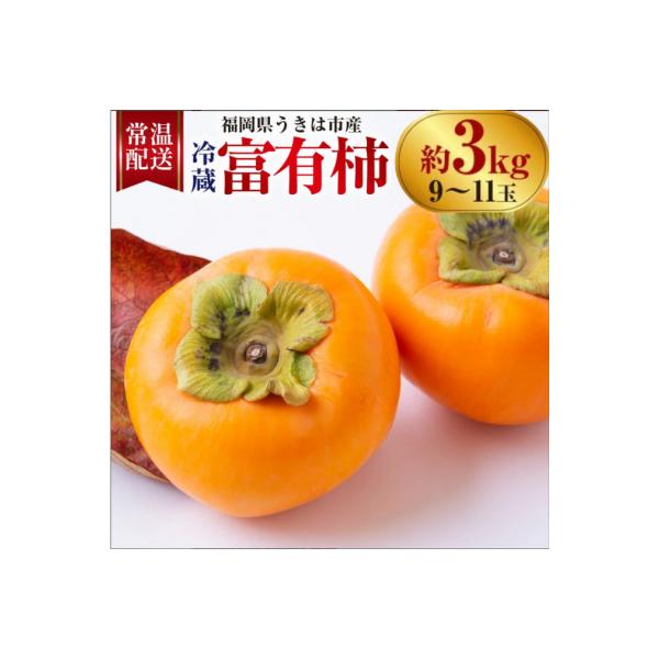 ふるさと納税 うきは市 【先行予約】西見柿農園 冷蔵富有柿 9玉から11玉(約3kg)【2026年12月下旬〜発送予定】