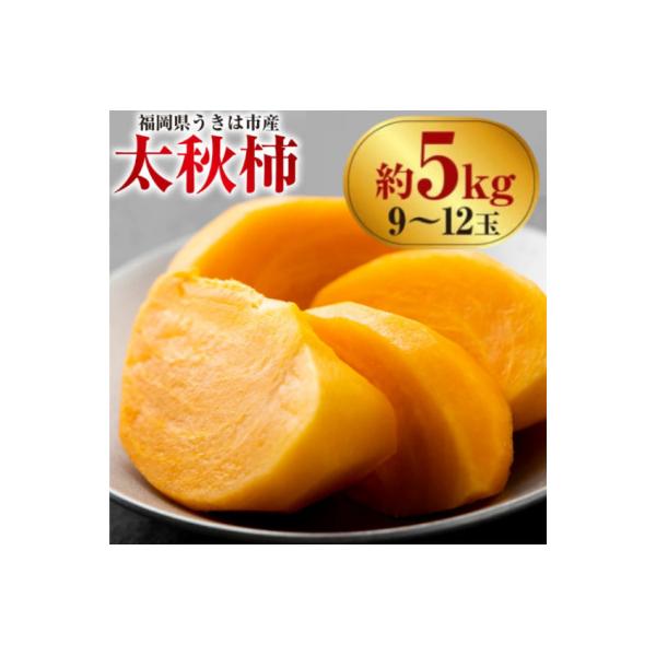 ふるさと納税 うきは市 【先行予約】西見柿農園 太秋柿 9〜12玉(約5kg)【2026年10月下旬〜11月下旬発送予定】