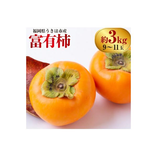 ふるさと納税 うきは市 【先行予約】西見柿農園 富有柿 9玉から11玉(約3kg)【2026年11月上旬より順次発送予定】