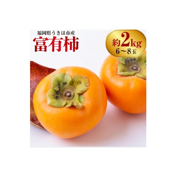 ふるさと納税 うきは市 【先行予約】西見柿農園 富有柿 6玉から8玉 (約2kg)【2026年11月上旬より順次発送予定】