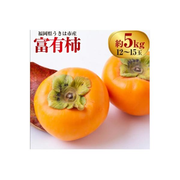 ふるさと納税 うきは市 【先行予約】西見柿農園 富有柿 12玉から15玉(約5kg)【2026年11月上旬より順次発送予定】