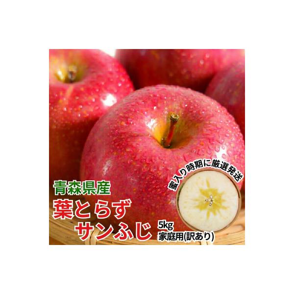 ふるさと納税 黒石市 11-12月蜜入り時期に発送! 平均糖度13度以上 葉とらずサンふじ 約5kg 訳あり 青森 りんご
