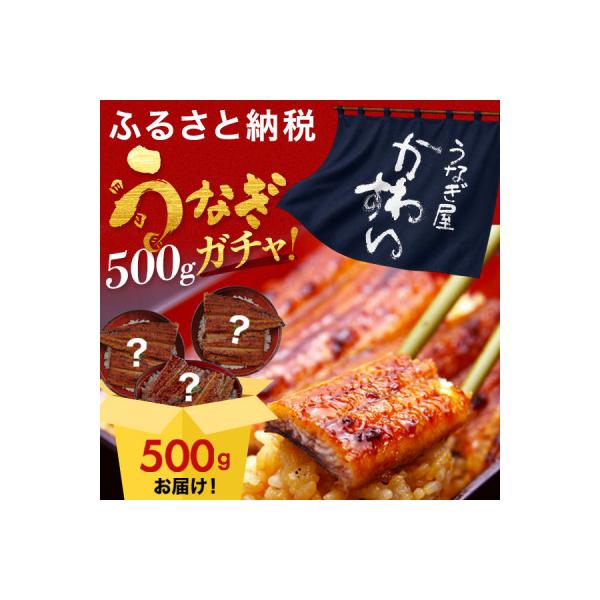 ふるさと納税 有田市 【訳あり】国産うなぎガチャ福袋!国産うなぎが500g入り