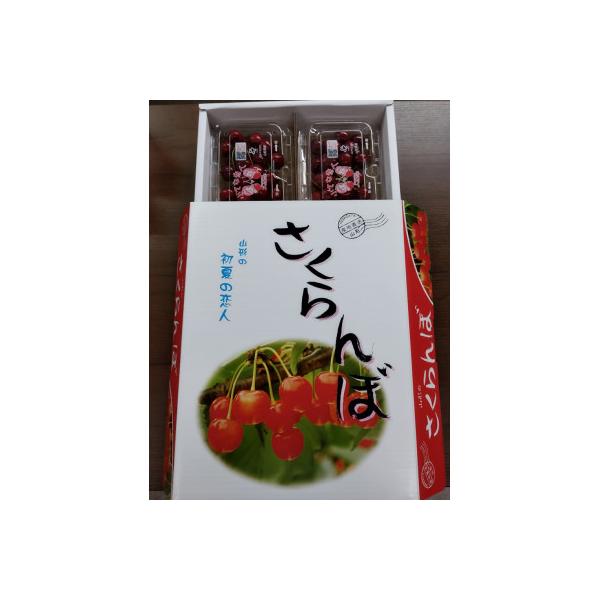 ふるさと納税 中山町 【令和9年産先行受付】山形県中山町産「紅さやか」秀品　M/Lサイズ　約800g(200g×4P)