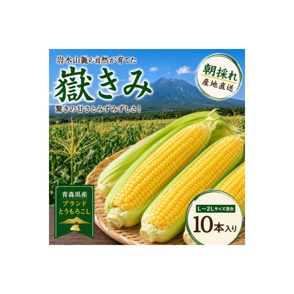 ふるさと納税 青森県 とうもろこし 朝採り 嶽きみ(だけきみ) 10本 L