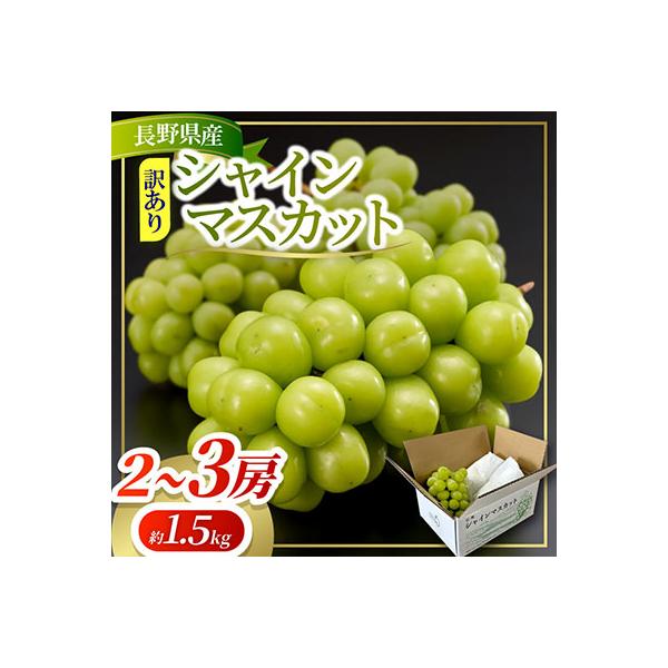 ふるさと納税 塩尻市 約1.5kg!! 訳あり シャインマスカット (2〜3房) 長野県産 2026年新登場!