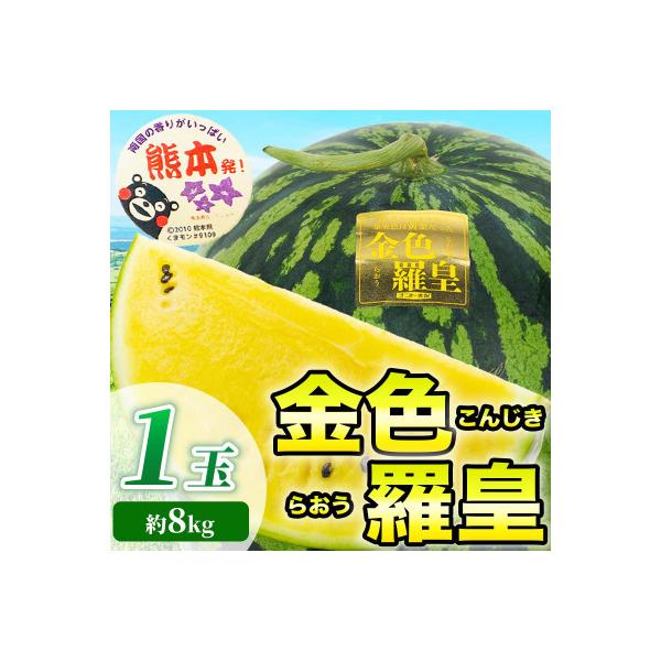 山鹿市産 スイカ 約8kg
