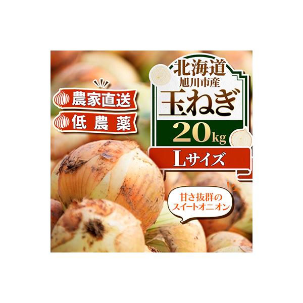 ふるさと納税 旭川市 【農家直送】【低農薬】北海道産玉ねぎ20kg(L