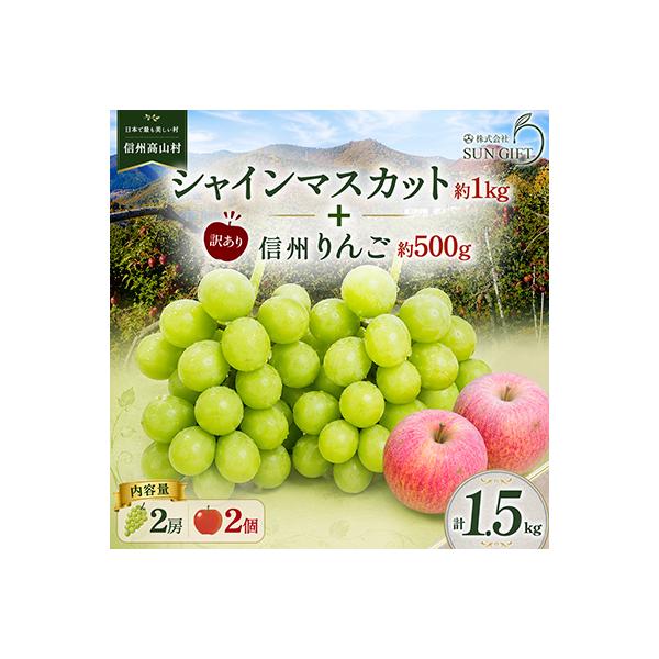 ふるさと納税 高山村 長野県産 シャインマスカット 1kg(2房)+ 訳あり 信州りんご 500gセット【2026年発送】