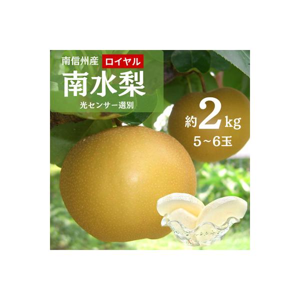 ふるさと納税 飯田市 【9月上旬から発送予定】南信州生まれのジューシーで甘い梨【南水梨】ロイヤル　約2kg　5〜6玉