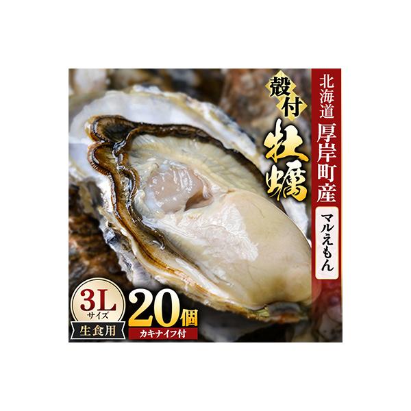 ふるさと納税 厚岸町 【生食用】「マルえもん」3Lサイズ×20個 北海道厚岸町産 殻付牡蠣 (カキナイフ付)