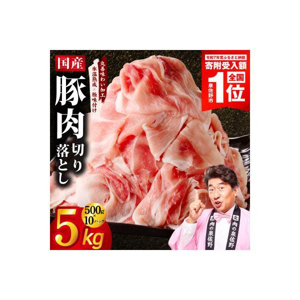 ふるさと納税 泉佐野市 国産 豚肉 切り落とし 5kg【氷温熟成×極味付け】 mrz0512