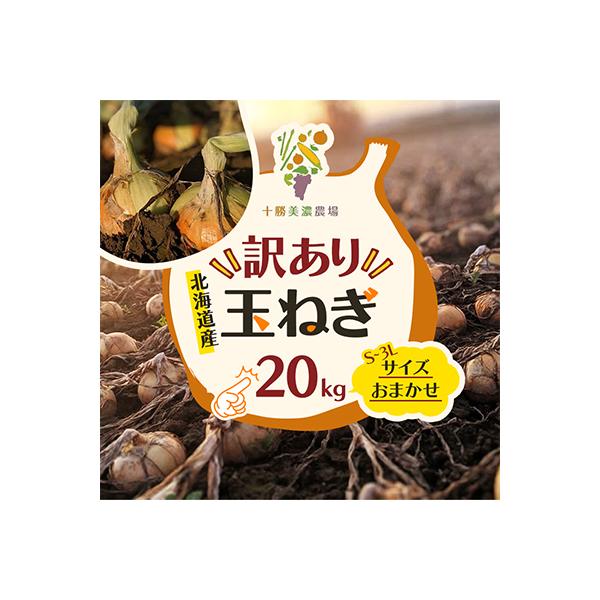 ふるさと納税 池田町 先行予約【訳あり】北海道産 玉ねぎ 20kg サイズおまかせ S〜3L 十勝池田町 十勝美濃農場