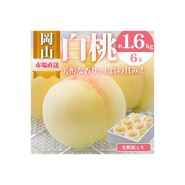 ふるさと納税 和気町 【2027年発送】岡山県産　白桃6玉(合計1.6kg以上)