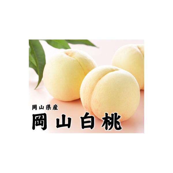 ふるさと納税 高梁市 岡山白桃 2027年発送 ロイヤル 約1kg(4〜6玉)