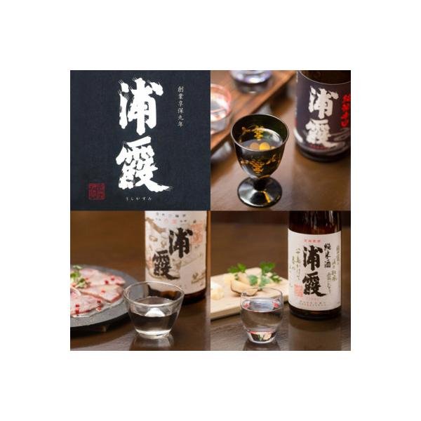 ふるさと納税 東松島市 日本酒 浦霞 720ml 3本セット 飲み比べ