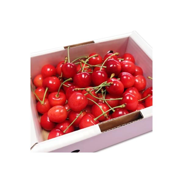 ■お礼品詳細　・容量：L玉・約500gバラ詰め　・賞味期限：発送日含む3日以内(冷蔵)　・アレルギー：特定原材料等28品目は使用しておりません　・配送：冷蔵　・協力事業者：長井中央青果■お申し込み・配送・その他　・発送時期：2026年06月...