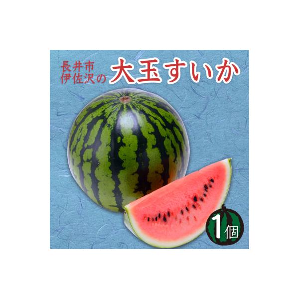 ■お礼品詳細　・容量：約6〜8kg×1玉　・賞味期限：発送日から1週間程度　・アレルギー：特定原材料等28品目は使用しておりません　・配送：常温　・協力事業者：長井中央青果■お申し込み・配送・その他　・発送時期：2026年07月中旬頃〜08...