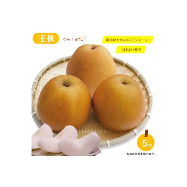 ふるさと納税 米子市 鳥取県産梨「王秋」5kg