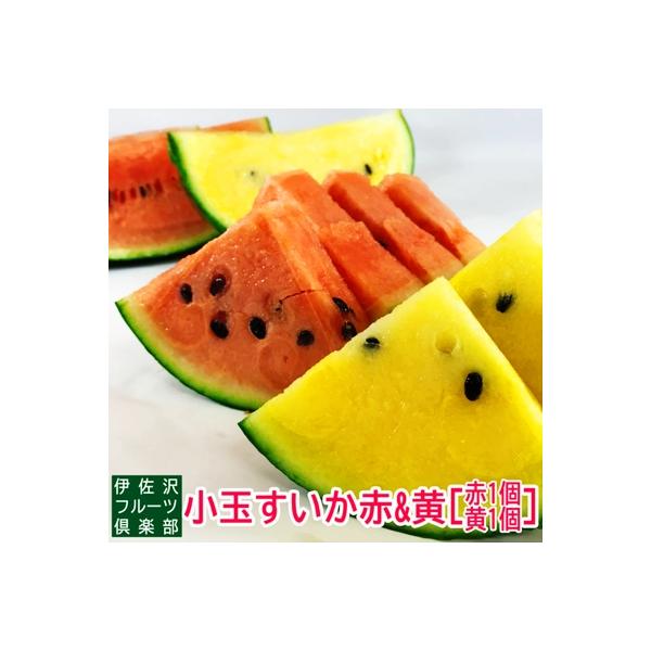 ■お礼品詳細　・内容量：約1.9kg〜3.5kg×2玉　・賞味期限：発送日から7日程度　・申込期限：2026年8月10日頃　・配送方法：常温　・協力事業者：伊佐沢フルーツ倶楽部■お申し込み・配送・その他　・発送時期：2026年07月下旬頃か...